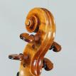 Violin #97 Head BR